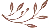 Curae Leaf Divider
